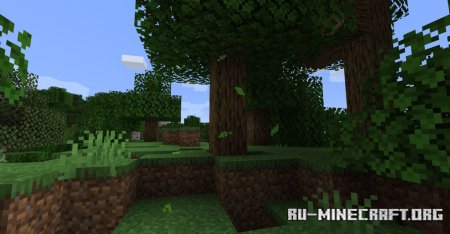  Falling Leaves  Minecraft 1.16.4