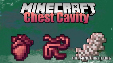  Chest Cavity  Minecraft 1.16.4