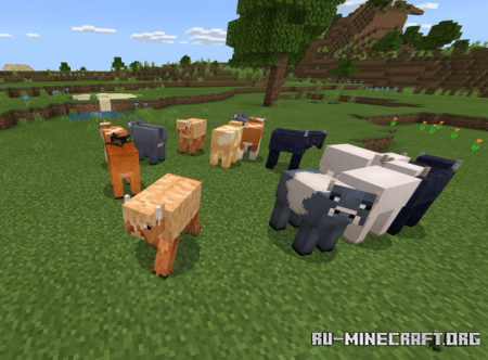  Genoa Cows  Minecraft PE 1.16