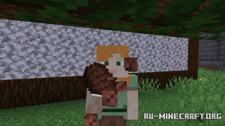  Not Enough Animations  Minecraft 1.16.4