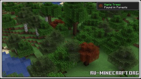  Premium Wood  Minecraft 1.16.5