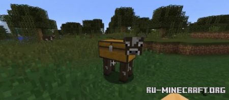  Chest Cow  Minecraft 1.16.5
