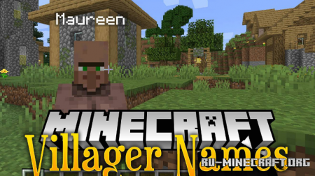  Villager Names  Minecraft 1.16.5