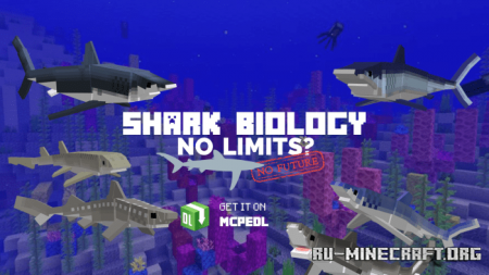  Shark Biology: No Limits Update  Minecraft PE 1.16