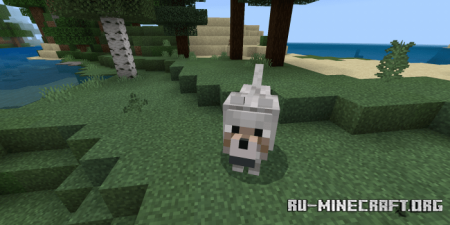  Giant Wolves  Minecraft PE 1.16