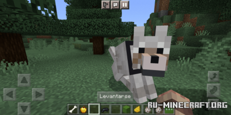  Giant Wolves  Minecraft PE 1.16