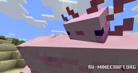  Buffxolotl  Minecraft 1.12.2