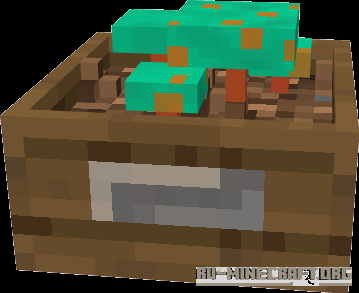  Multi-Deco  Minecraft PE 1.16