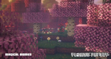  Magical Biomes: Forests  Minecraft 1.16