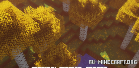  Magical Biomes: Forests  Minecraft 1.16