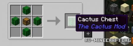  The Cactus  Minecraft 1.16.5