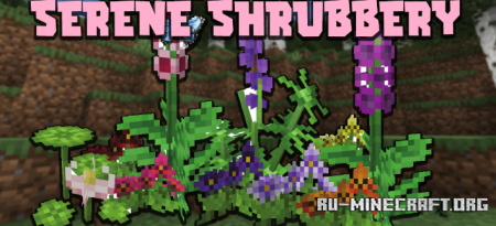  Serene Shrubbery  Minecraft 1.16.5