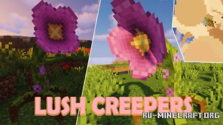  Lush Creepers  Minecraft 1.16