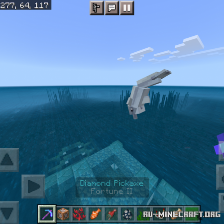  Dolphin Trainer  Minecraft PE 1.16