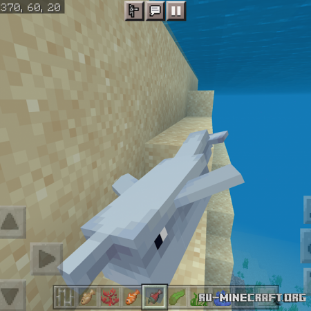  Dolphin Trainer  Minecraft PE 1.16