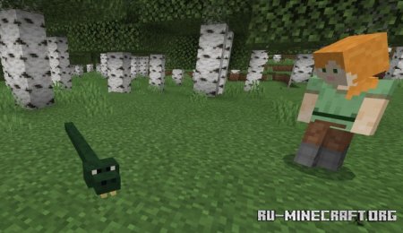  Animals Beginning With 'S'  Minecraft PE 1.16