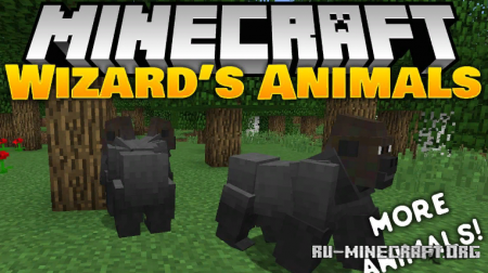  Wizards Animals  Minecraft 1.16.5