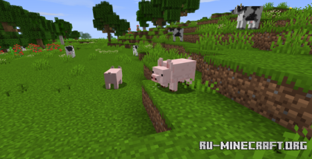  Renewed Animal  Minecraft 1.16