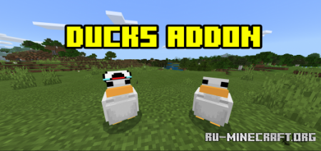  Duck Addon  Minecraft PE 1.17