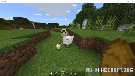  Duck Addon  Minecraft PE 1.17