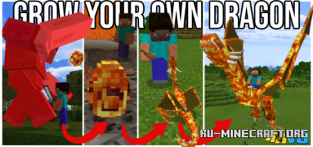  Grow Your Own Dragon  Minecraft PE 1.17