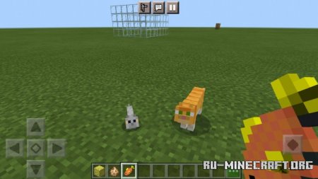  Goldfish (and Flishes)  Minecraft PE 1.17