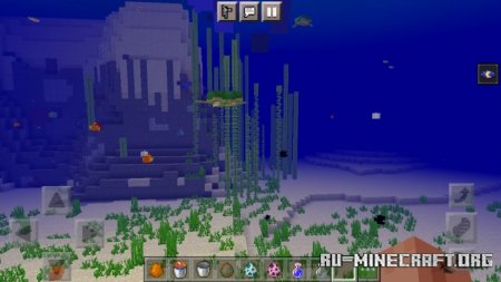  Goldfish (and Flishes)  Minecraft PE 1.17
