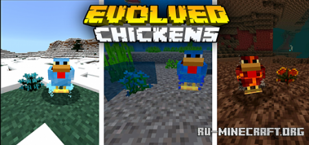  Evolved Chickens v.1  Minecraft PE 1.17