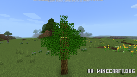  Forest X  Minecraft PE 1.17