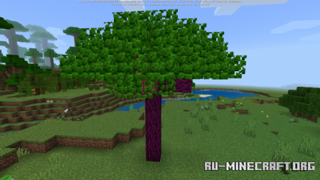  Forest X  Minecraft PE 1.17
