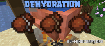 Dehydration  Minecraft 1.16.5