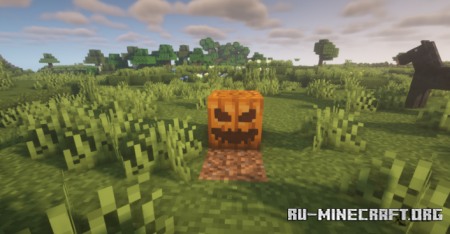  Pumpkins Reimagined  Minecraft 1.17