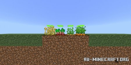  Grow Seed Level  Minecraft PE 1.17