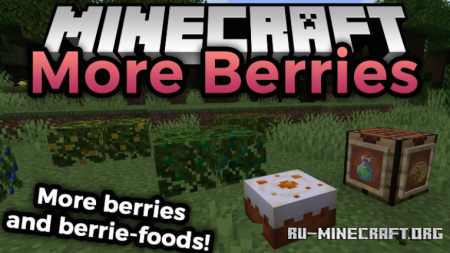  More Berries  Minecraft 1.17.1