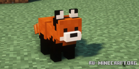  Raccoons Mod  Minecraft 1.16.5