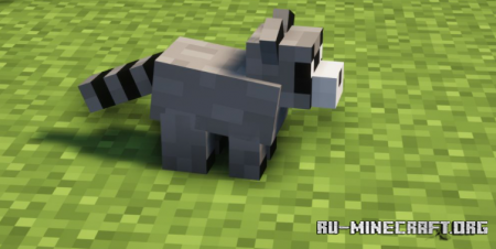  Raccoons Mod  Minecraft 1.16.5