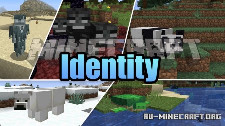  Identity  Minecraft 1.17.1