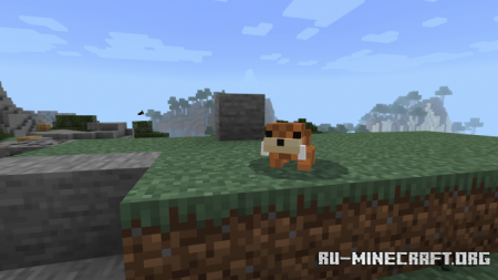  Finally Otters  Minecraft PE 1.17
