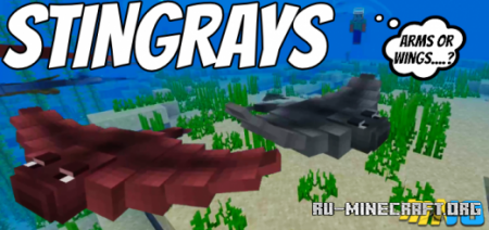  Sharks and Stingrays  Minecraft PE 1.17