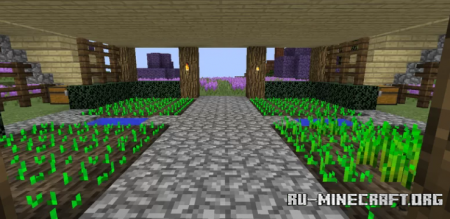  Lavender Field (Survival House)  Minecraft