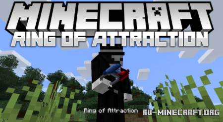 Скачать Ring of Attraction для Minecraft 1.16.5