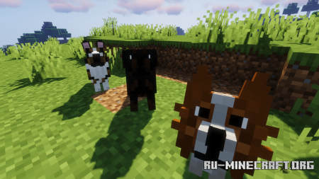 Скачать Better Dogs для Minecraft 1.18