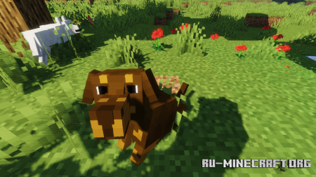 Скачать Better Dogs для Minecraft 1.18