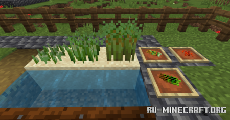 Скачать bum Crops для Minecraft PE 1.18