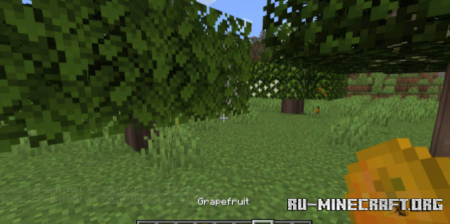 Скачать Fruit Trees для Minecraft 1.18.1