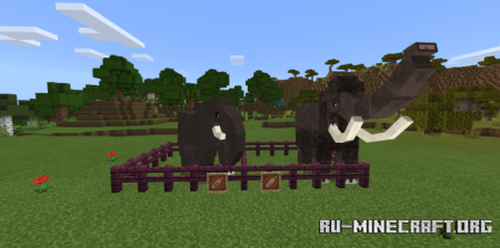 Скачать World Animals Add-on для Minecraft PE 1.18
