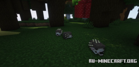 Скачать Hedgehogs для Minecraft 1.18.1