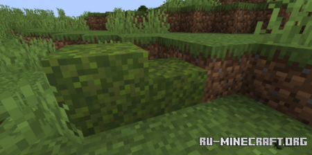 Скачать Moss Layers для Minecraft 1.18.2