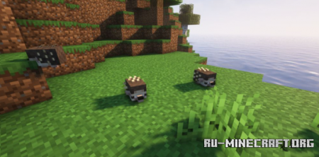 Скачать Hedgehogs для Minecraft 1.18.2