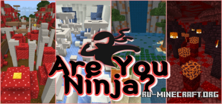 Скачать Are You Ninja? для Minecraft PE